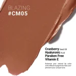 رژ لب مدادی اشتون مدل مات مخملی شماره CM05